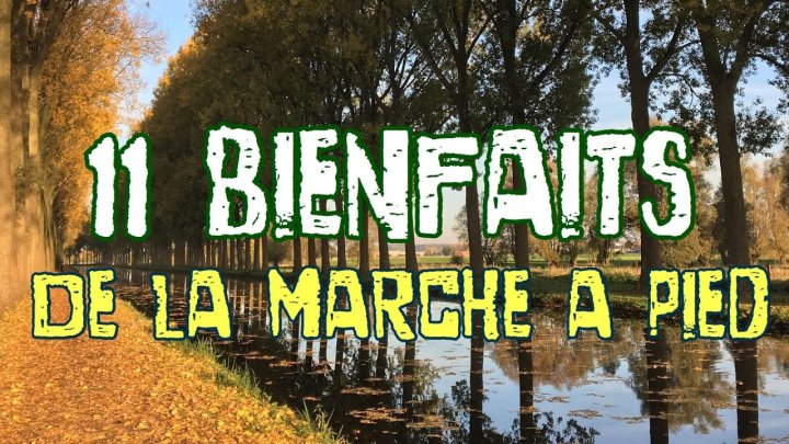 Bienfaits de la marche à pied.jpg