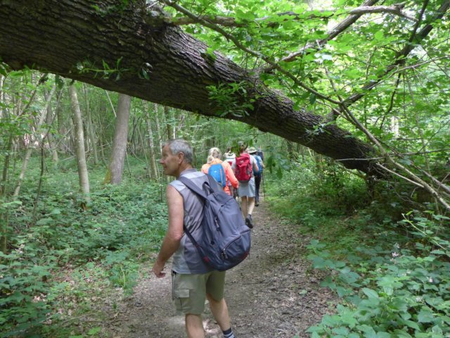 _10155471013752650_957117346781336138_o