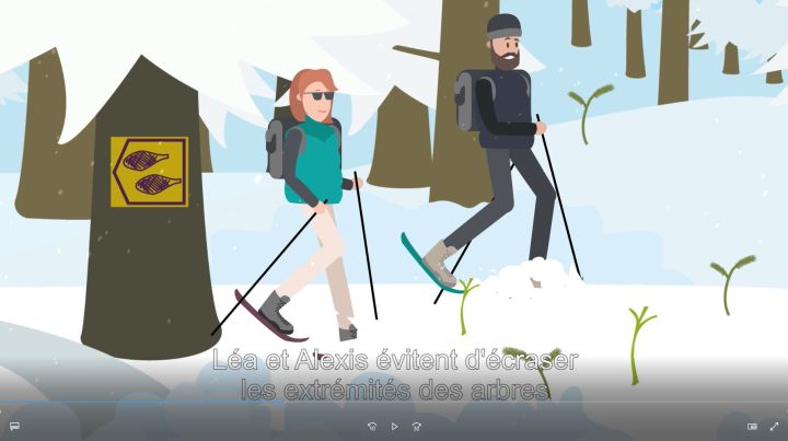 APARA_imge_RandoRaquette