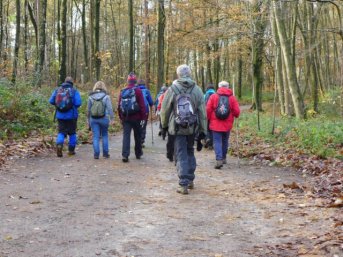 _10155986480277650_2820509784680053297_o