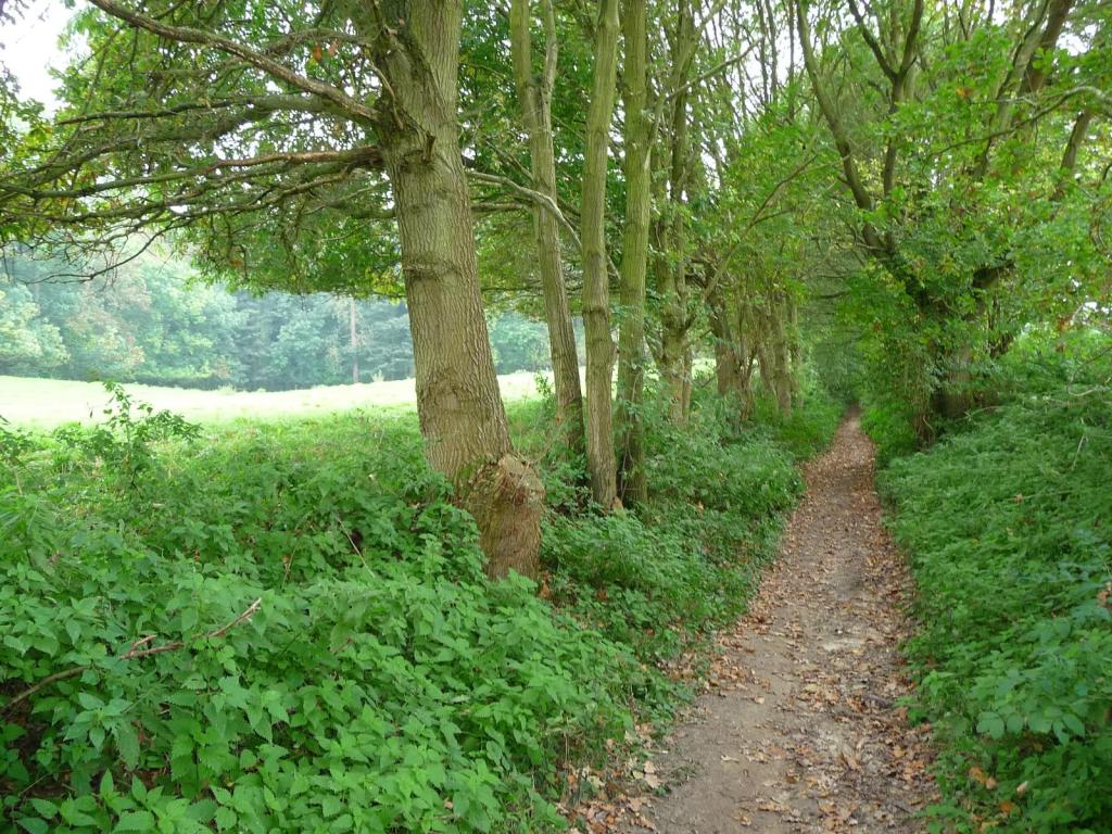 Cette image a un attribut alt vide ; le nom du fichier est 397062master-1.jpg