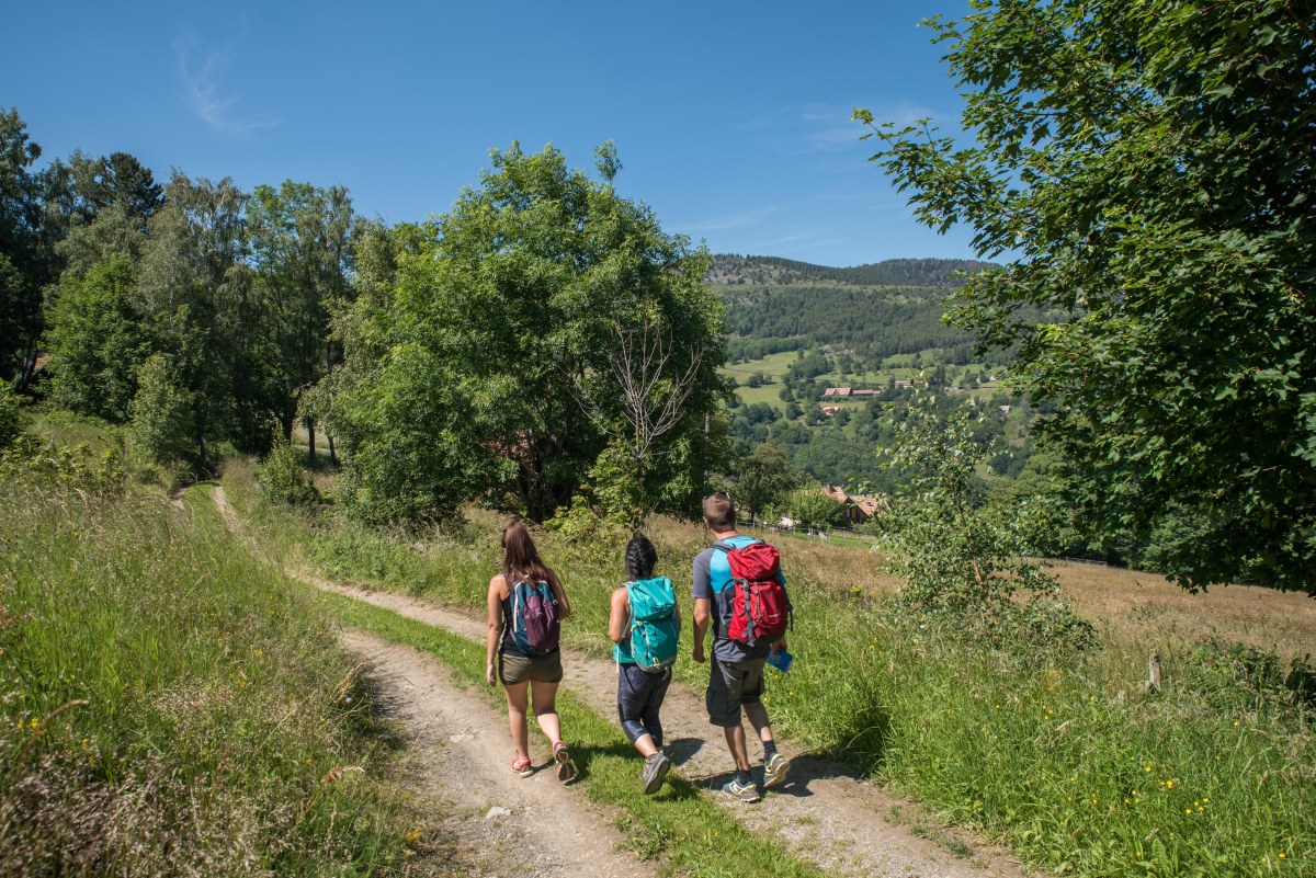 Randonnée : Le tour du Grand Ballon en 3 jours – culturemarche : Le